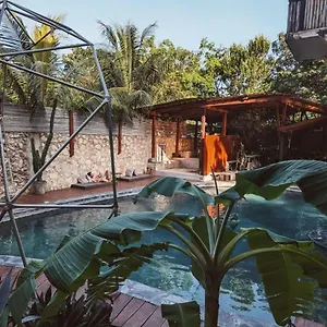 botanica-tulum.quintano-roohotels.com/
